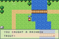 The angler holding up a caught rainbow trout